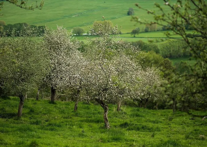 Tři Domky - Tiny Prázdninový dům *