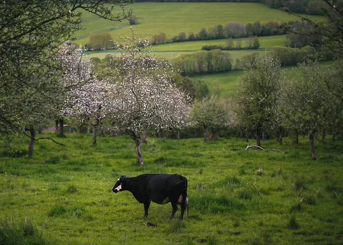 Prázdninový dům Tři Domky - Tiny *